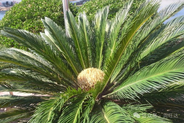 1749605879484312.jpg 微信圖片_20250611090207.jpg